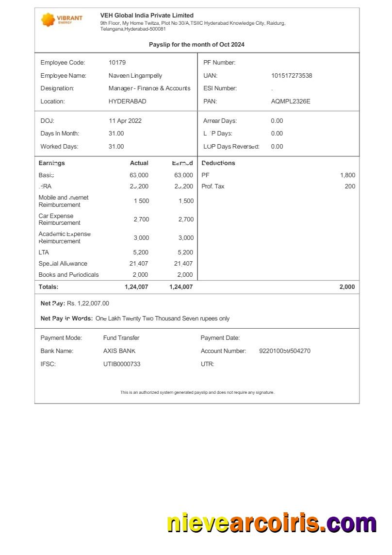 Vibrant Energy VEH Global India payslip